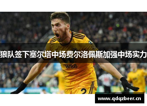 狼队签下塞尔塔中场费尔洛佩斯加强中场实力