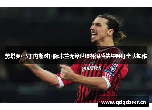 劳塔罗·马丁内斯对国际米兰无缘世俱杯深感失望呼吁全队振作