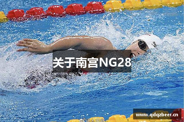 关于南宫NG28